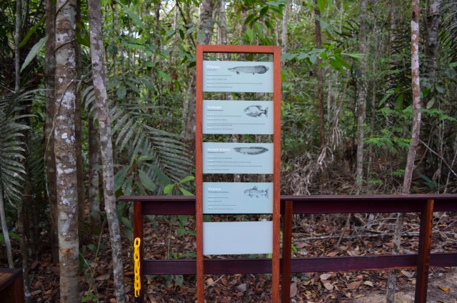 Manaus: Reserva Florestal Adolpho Ducke (Museu da Amazônia – Musa e Jardim Botânico)