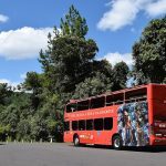 Bustour: Ônibus turístico pra conhecer todas as atrações de Gramado e Canela