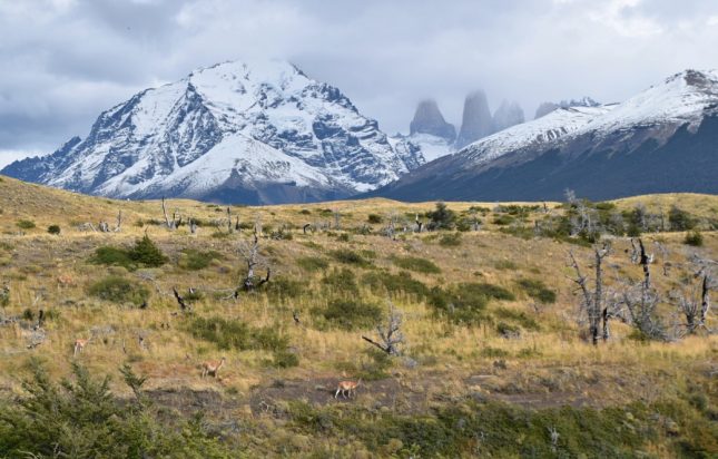Puerto Natales: Tour Full Day no Parque Nacional Torres del Paine